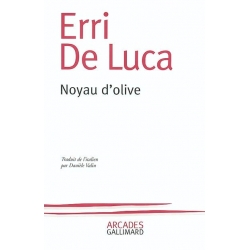 NOYAU D'OLIVE