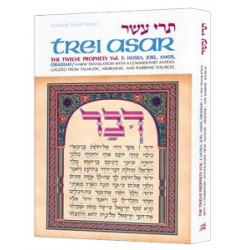 ARTSCROLL:  TREI ASSAR VOL 1