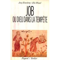 JOB OU DIEU DANS LA TEMPETE