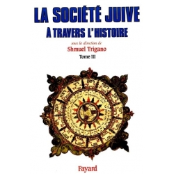 LA SOCIETE JUIVE A TRAVERS L'HISTOIRE T.3 - LE PASSAGE D'ISRAEL