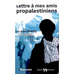 LETTRE A MES AMIS PROPALESTINIENS