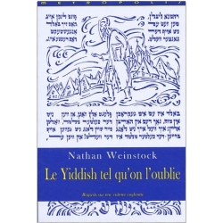 LE YIDDISH TEL QU ON L'OUBLIE