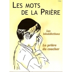 LES MOTS DE LA PRIERE T.3