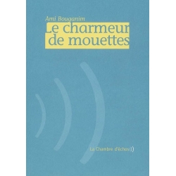 LE CHARMEUR DE MOUETTES