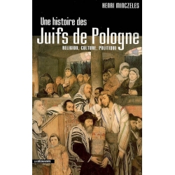 UNE HISTOIRE DES JUIFS DE POLOGNE : RELIGION, CULTURE, POLITIQUE