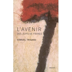 L'AVENIR DES JUIFS DE FRANCE