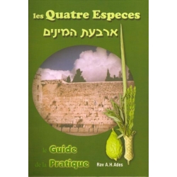 LES QUATRE ESPECES - ARBAAT HAMINIM