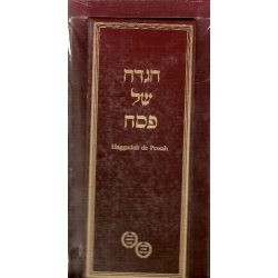 HAGGADAH ACCORDEON