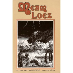 MEAM LOEZ - LE LIVRE DES LAMENTATIONS