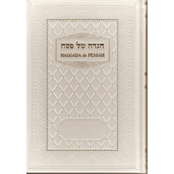 HAGGADA DE PESSAH - COMMENTAIRE DU RAV HAIM DYNOVISZ