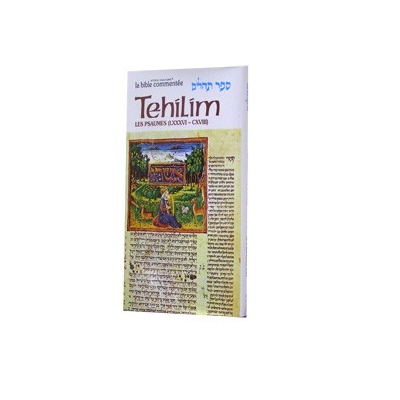 LA BIBLE COMMENTEE : TEHILIM T.4