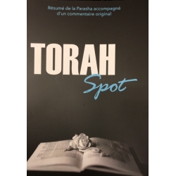 TORAH SPOT 